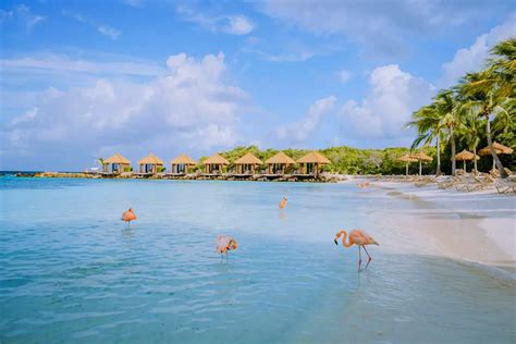 tripadvisor aruba|aruba tripadvisor things to do.